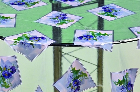 Eco-friendly PVC Dining Table Cloth With Fruit Design , Clear Table Cover
